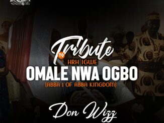 Don Wizz - Tribute to HRH Igwe Male Nwa Agbo (ABBA 1 Of ABBA Kingdom) MP3